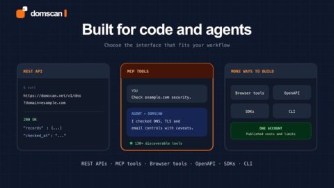 DomScan AI tool preview