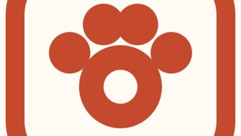 PetPic Studio AI tool preview