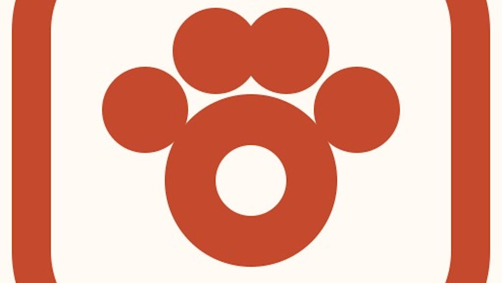 PetPic Studio AI tool preview