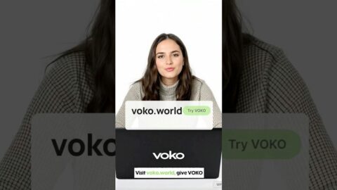 VOKO AI tool preview