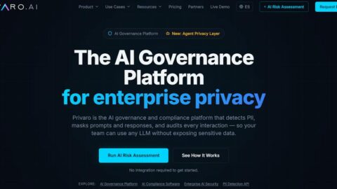 Privaro AI tool preview