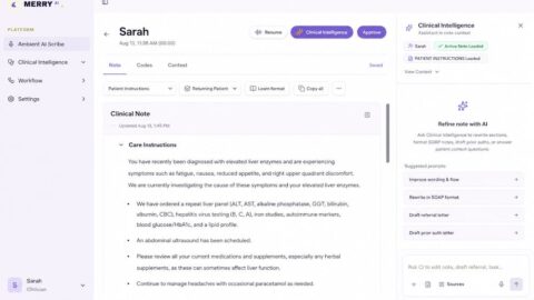 Merry AI AI tool preview