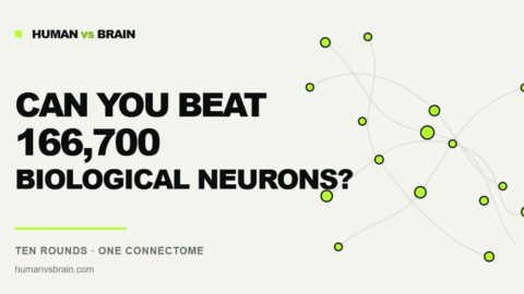 Human vs Brain AI tool preview