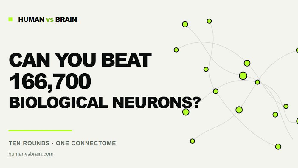 Human vs Brain AI tool preview