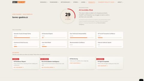 AI Commerce Score AI tool preview
