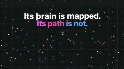 A Flys Life AI tool preview