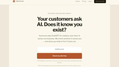 Traficio AI tool preview