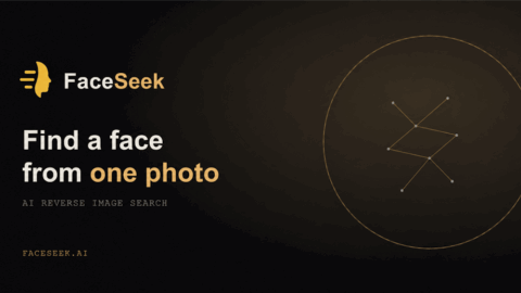 FaceSeek AI tool preview