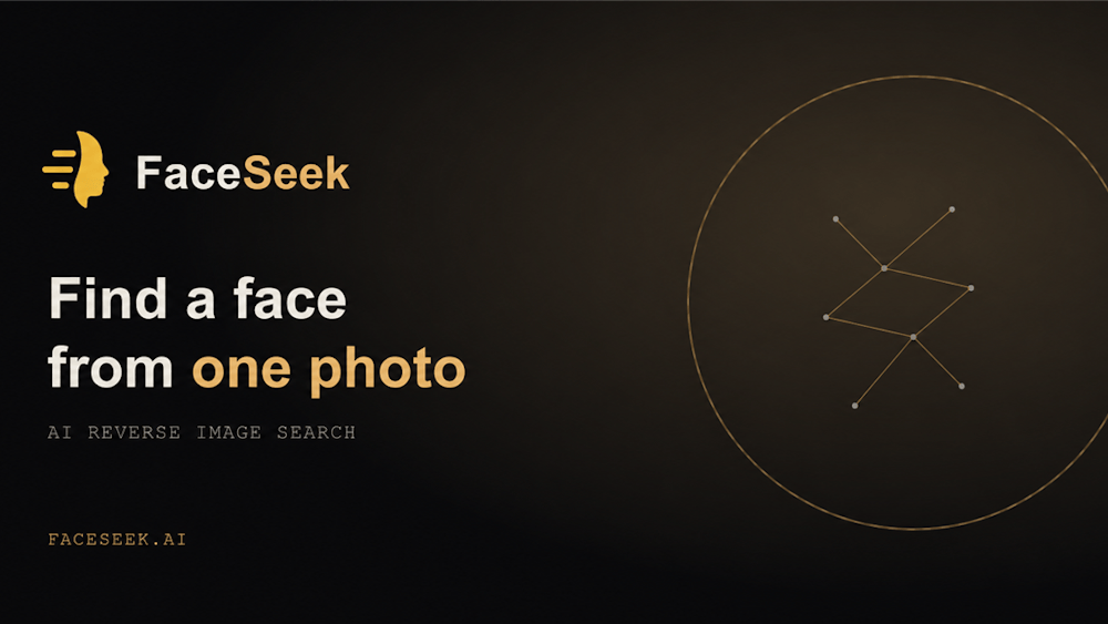 FaceSeek AI tool preview