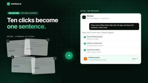 Merlean AI tool preview