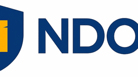 NDOR Rev 2 AI tool preview